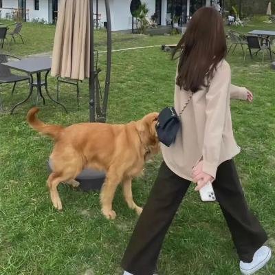 白发